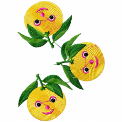 Orange Embroidery Design 2 Orange Embroidery Design 2